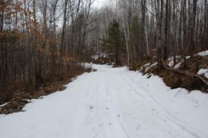 snow on trail