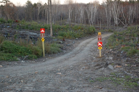 june-trails-3 june-trails-3