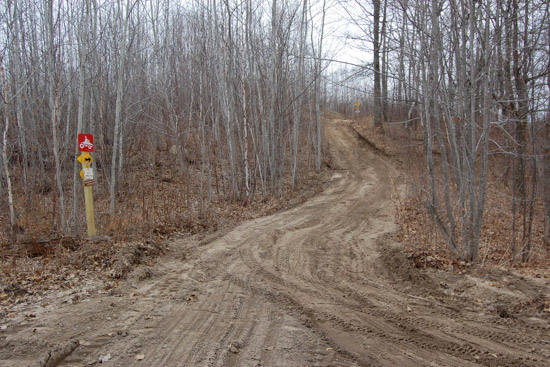 trail-work-6-21-1 trail-work-6-21-1