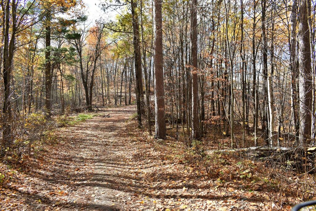 Beautiful Fall Trail